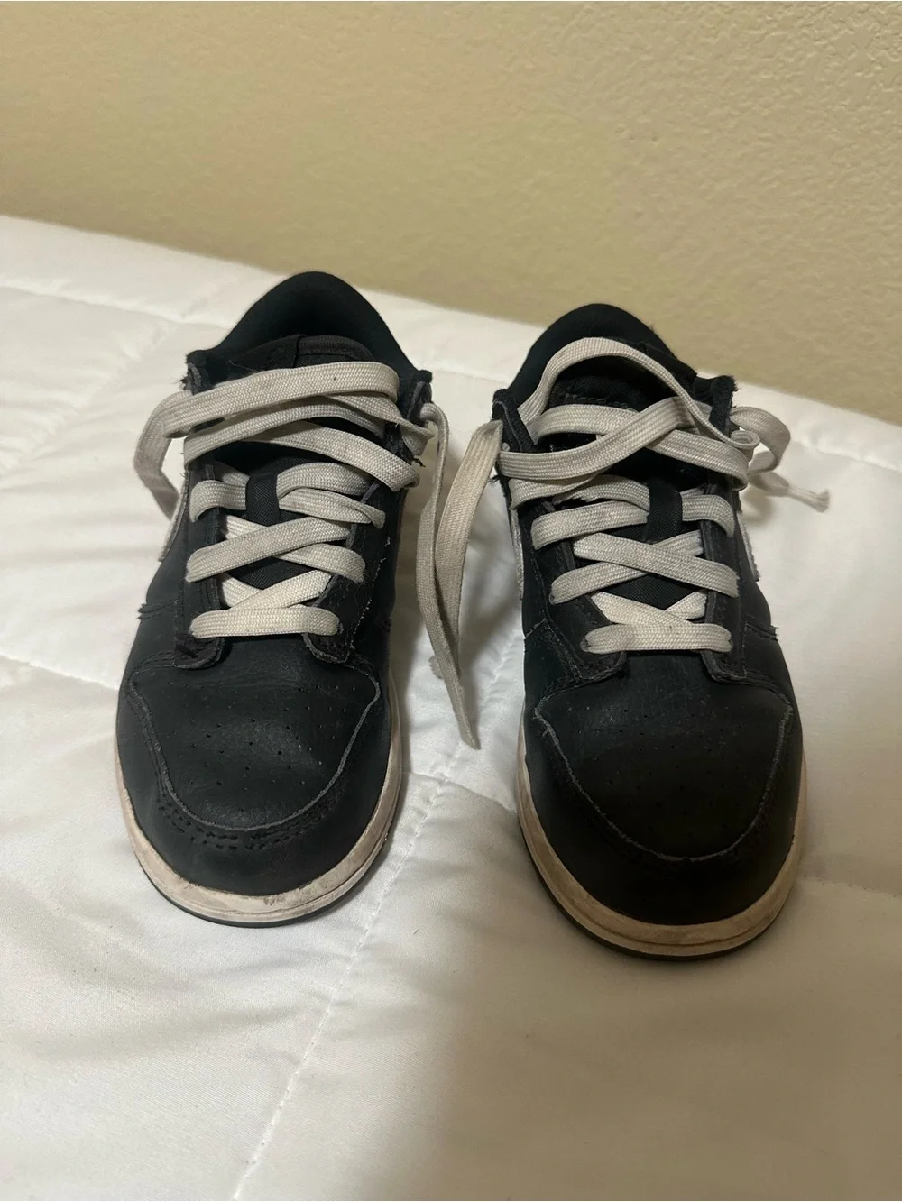 Nike Dunks Kids Low-Top Sneakers